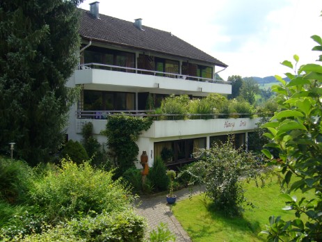 Haus Iris in Welschensteinach