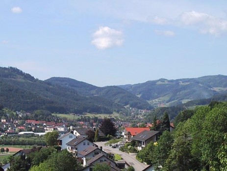Blick ins Kinzigtal