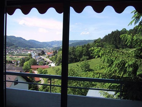 Blick ins Kinzigtal